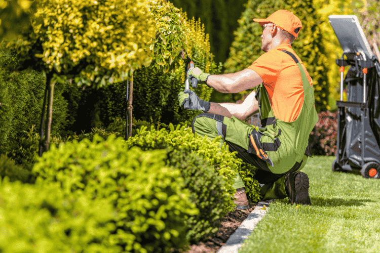 A landscaper working seamlessly due to IT solutions for Landscaping Companies